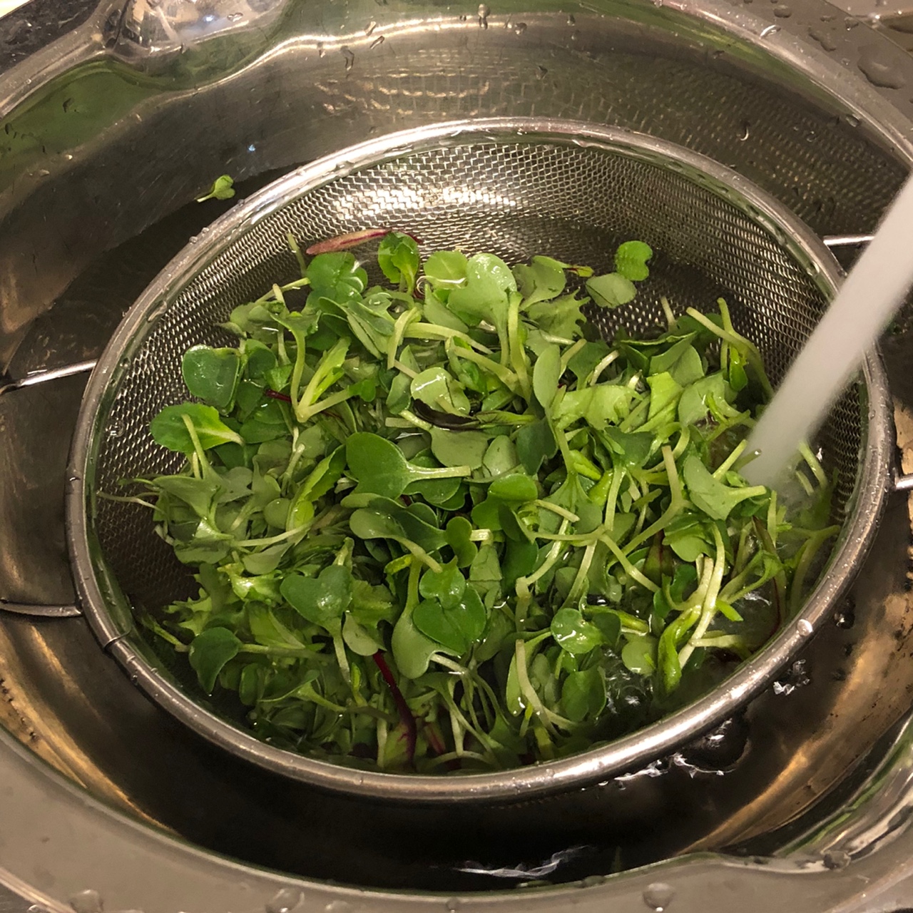 베이비채소-물에씻는중