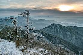 겨울 방학 국내 여행 추천지 BEST 5 - 덕유산