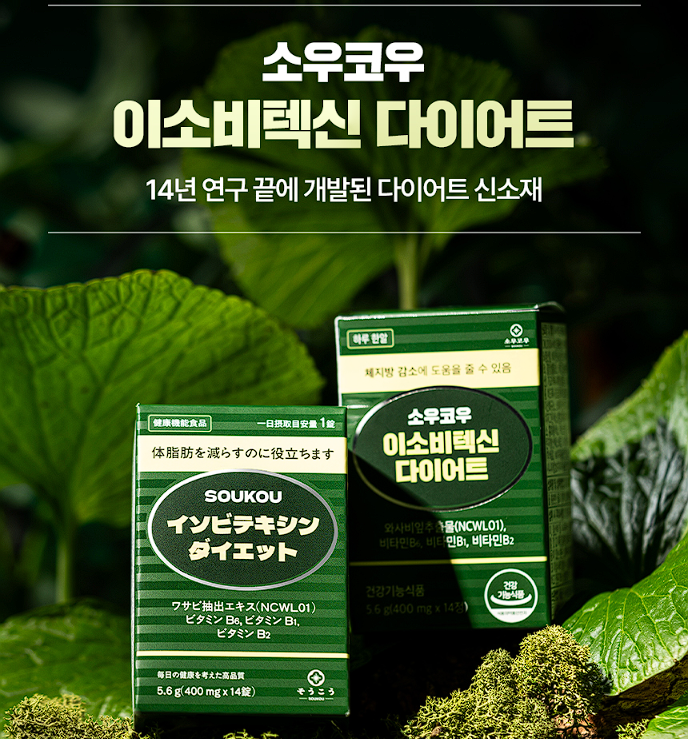소우코우 이소비텍신 다이어트 후기