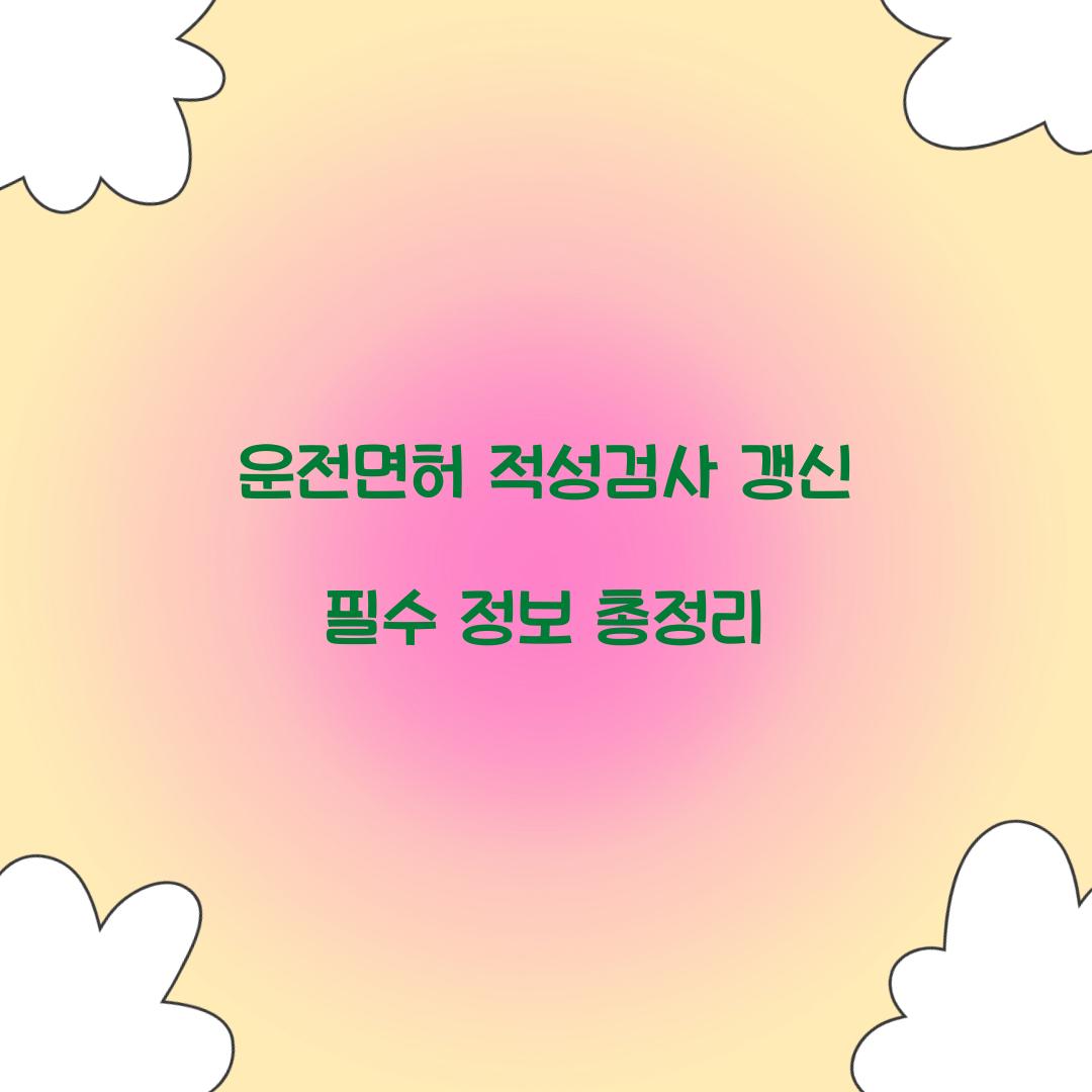 운전면허 적성검사 갱신