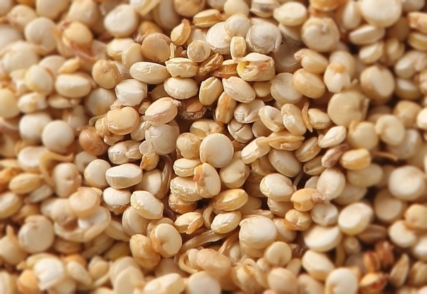 혈당 낮추는 다이어트 도시락 BEST 5 (GI지수 기반)