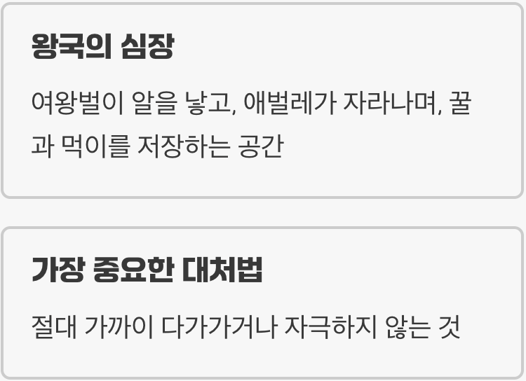벌집, 단순한 집이 아닌 요새