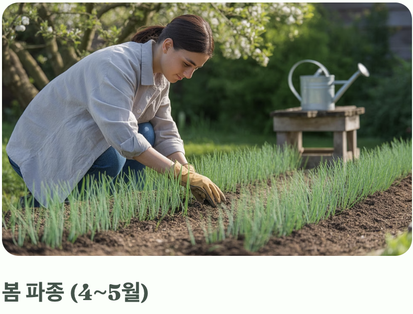 그래서, 나에게 맞는 최적의 날짜는?