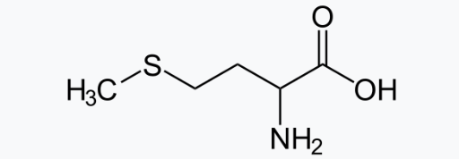 메티오닌