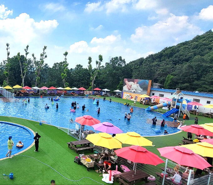 용인 골드펫앤도그베이