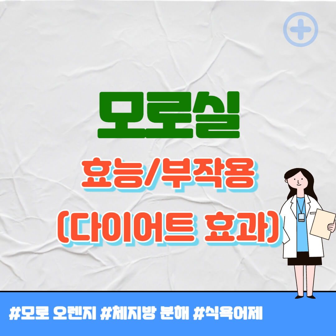 모로실 썸네일