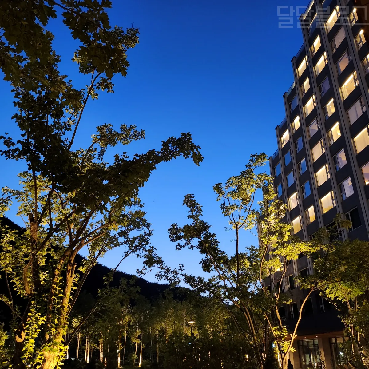 정선-파크로쉬-가든-바베큐-야경