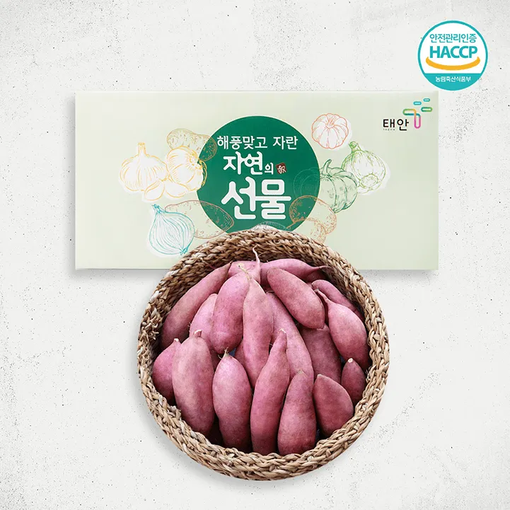 충남 태안 전국어울림마라톤대회 코스정보 및 참가신청 방법