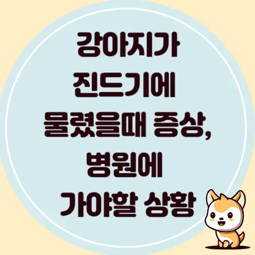 강아지가 진드기에 물렸을때 증상과 병원에 가야하는 상황, 진료비