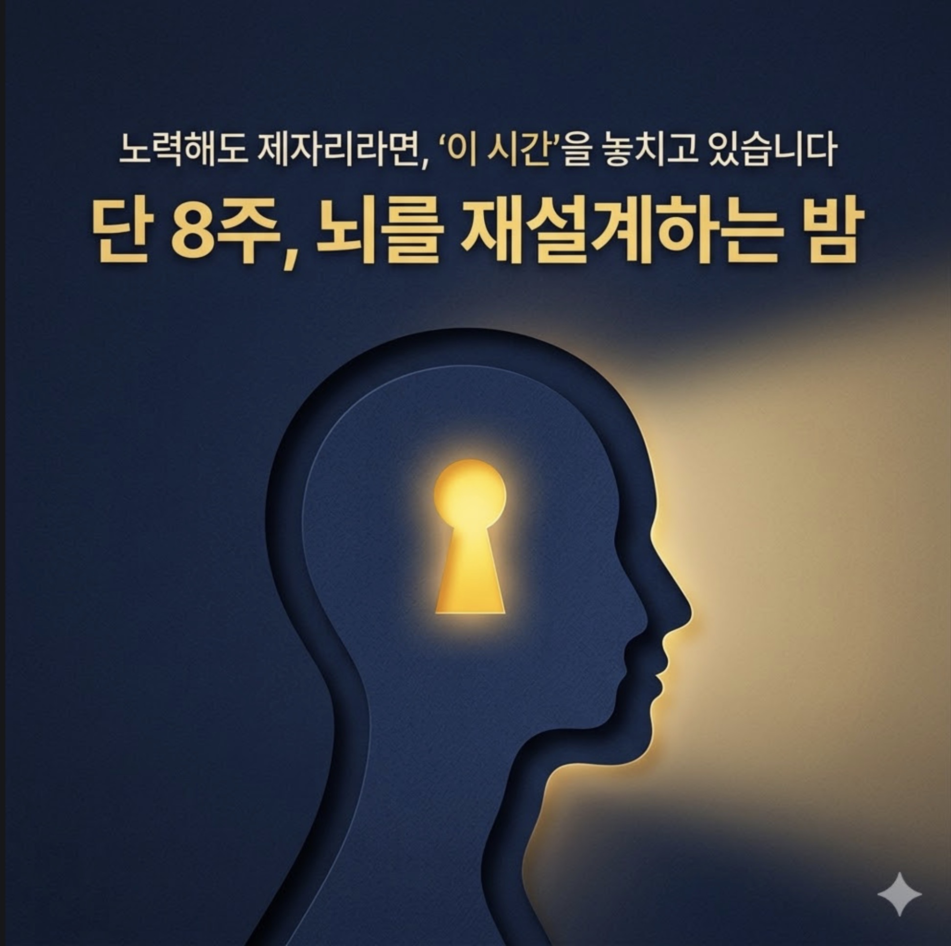 노력해도 제자리라면 놓치고 있는 시간, 뇌 재설계법 표지