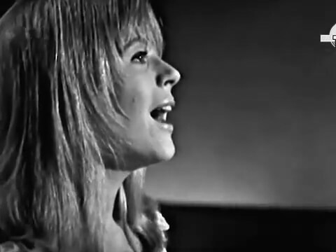 뮤비캡처 뮤비캡처