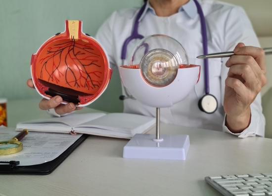 시신경 검사 완벽 가이드 – 종류, 절차 및 필요한 경우 총정리