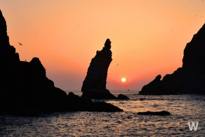 독도는 대한민국 영토 6