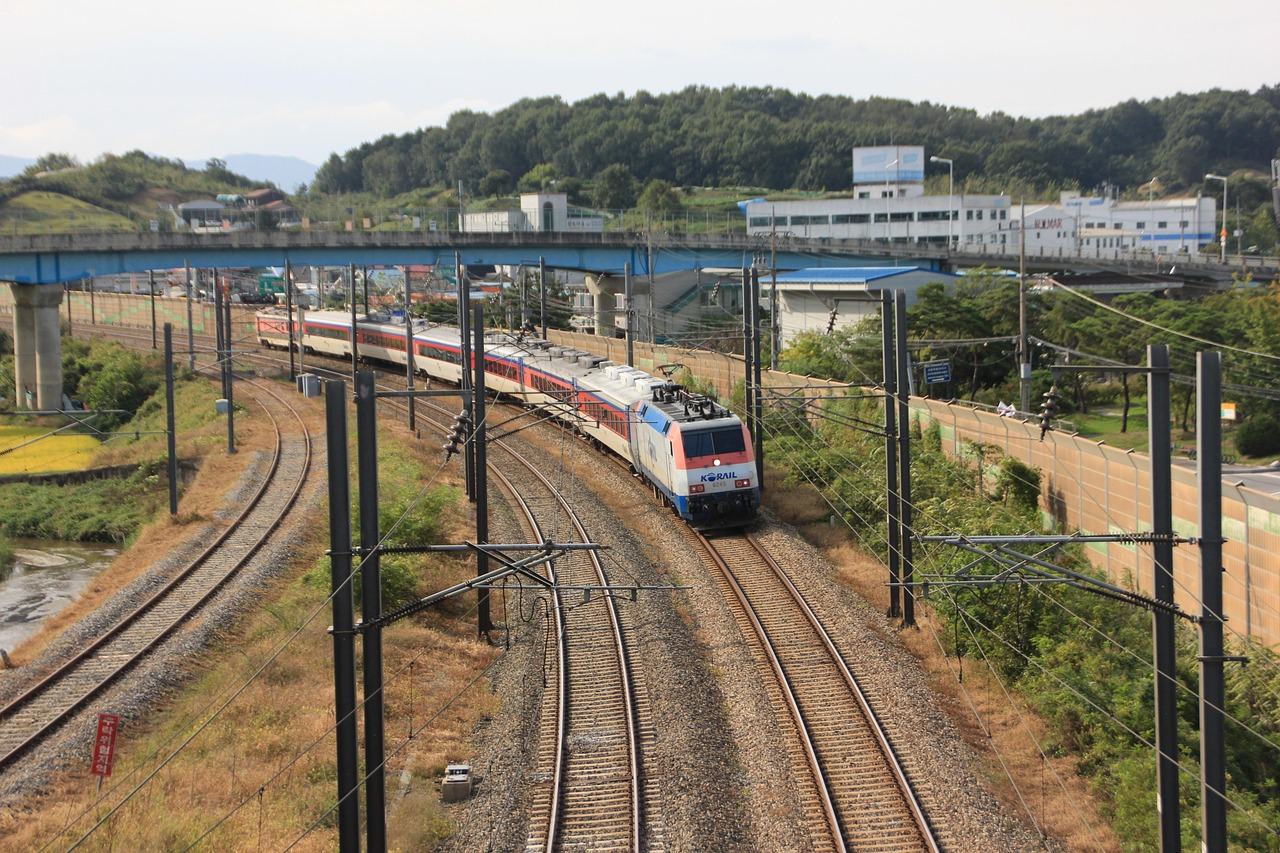무궁화호 예약 꿀팁 총정리 🚆