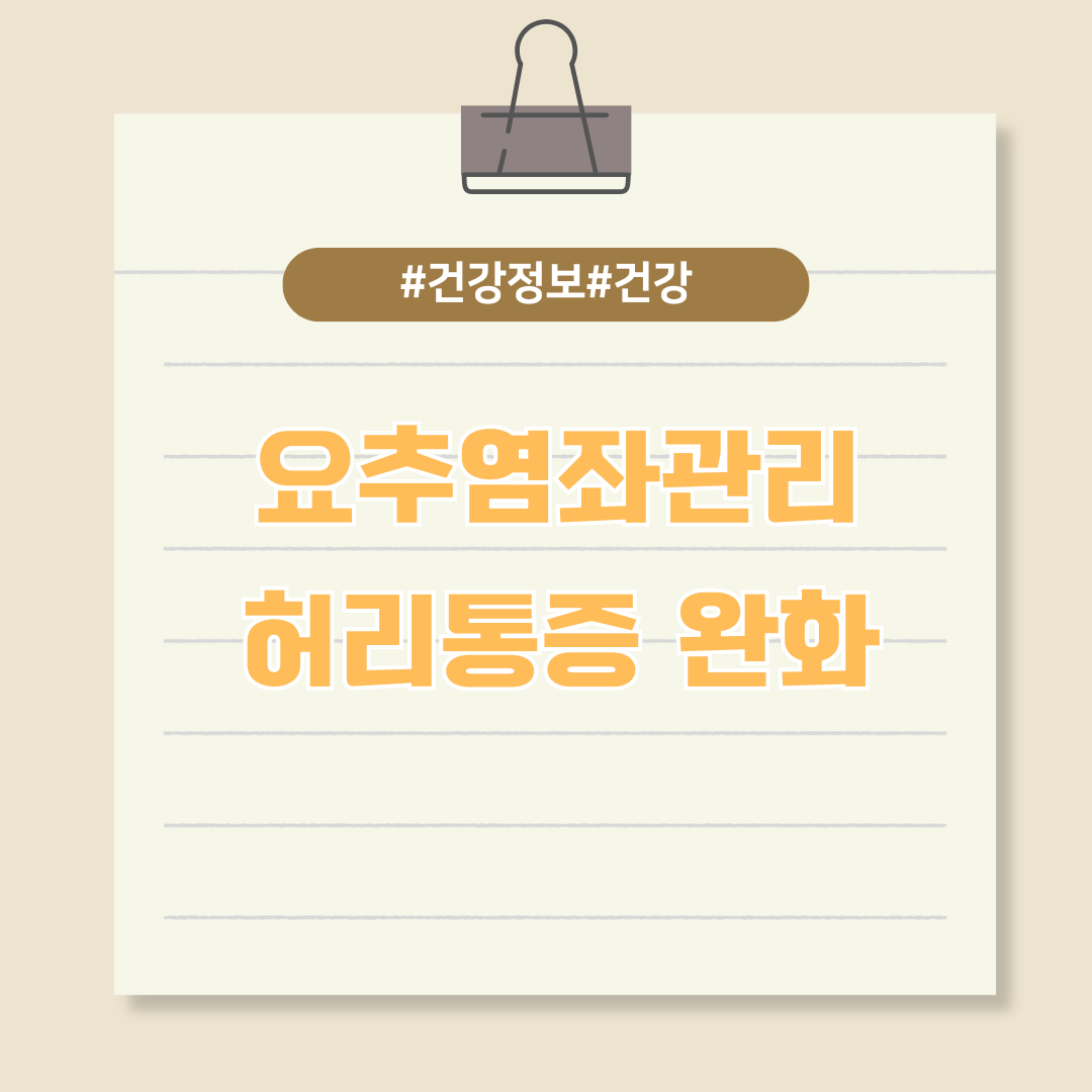 우리가 흔히 말하는 '허리 삐끗'은 요추 염좌이다. 통증이 느껴질 때 어떻게 관리해야 할까?