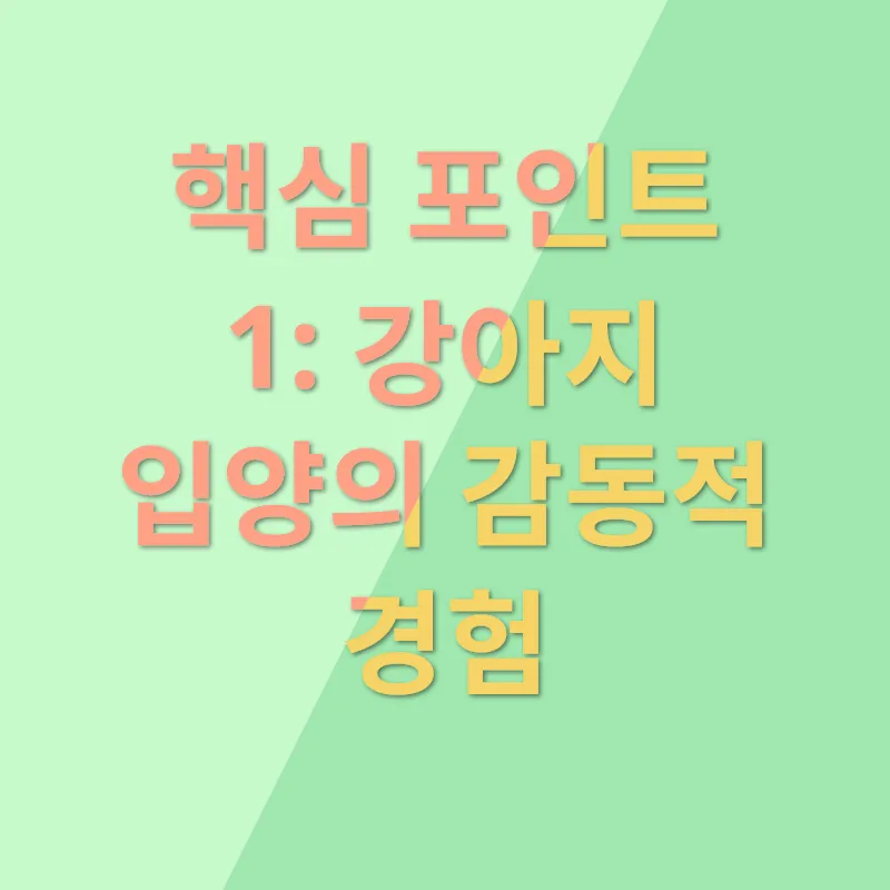 애견 입양 이야기_1