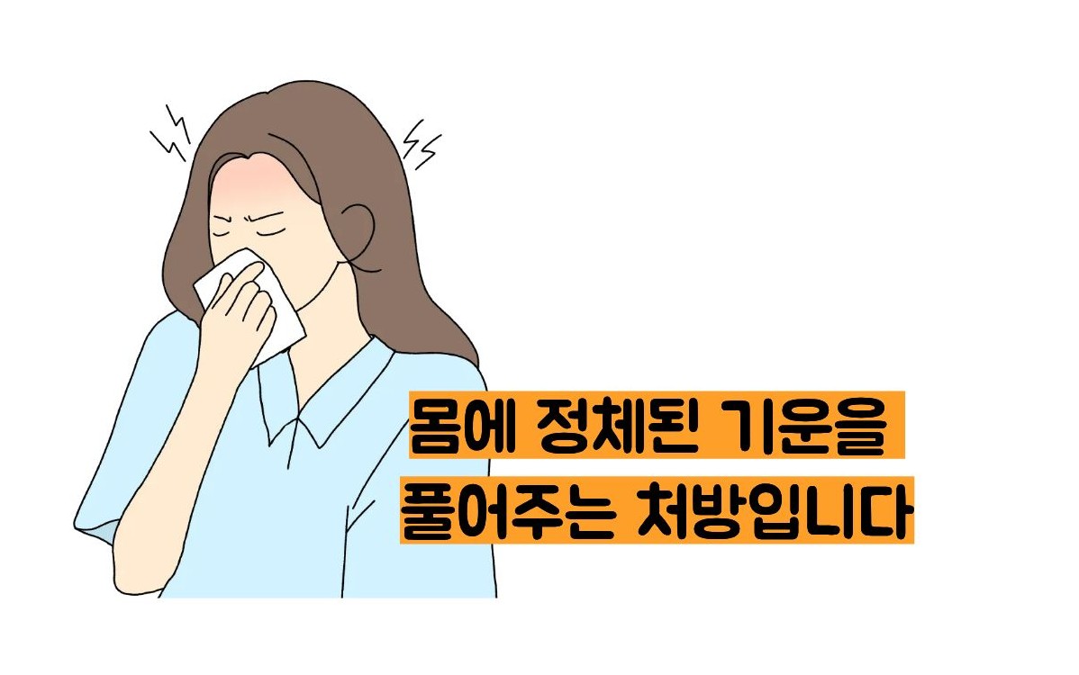 갈근탕 효능