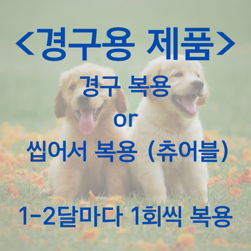 심장사상충약 경구용 제품 사용법