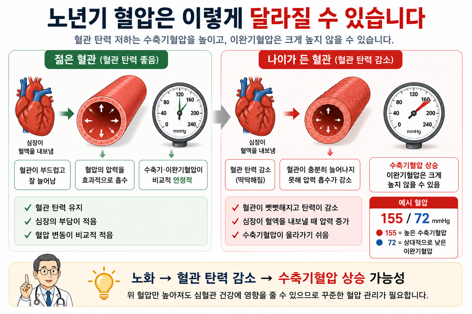 노년기 수축기·이완기 혈압과 맥압 변화를 설명하는 예시 그림