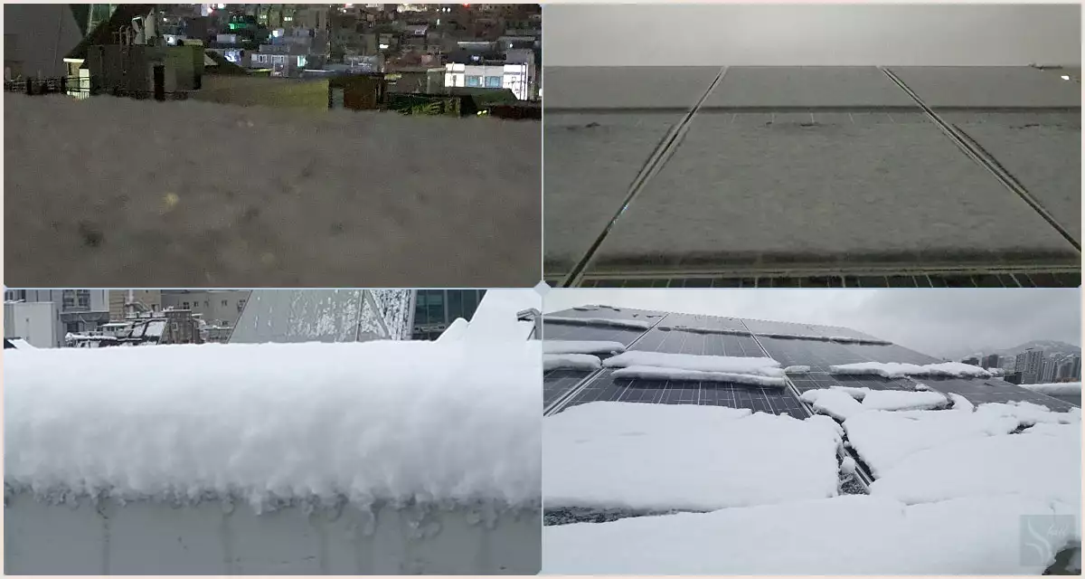 어제 밤과 오늘 아침의 눈