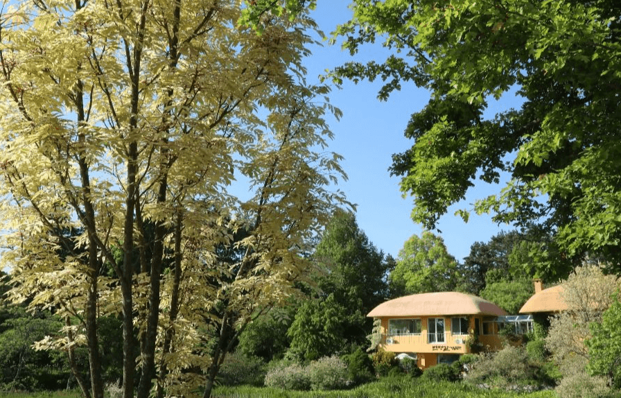 천리포수목원 봄축제: 자연이 피어나는 순간을 걷다!