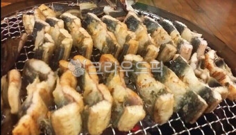 장어