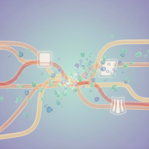 사면발이, 정확히 무엇이고 어떻게 감염될까요?