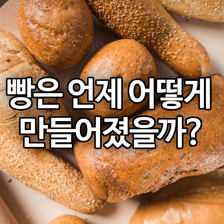 빵은 언제 어떻게 만들어졌을까?