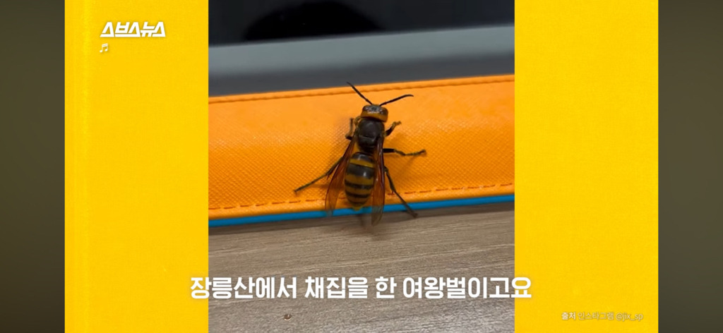 이지섭 곤충 관심 계기