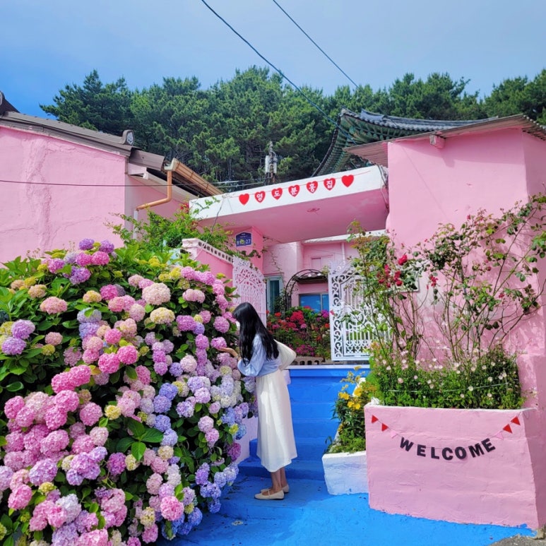 부산 영도 분홍집