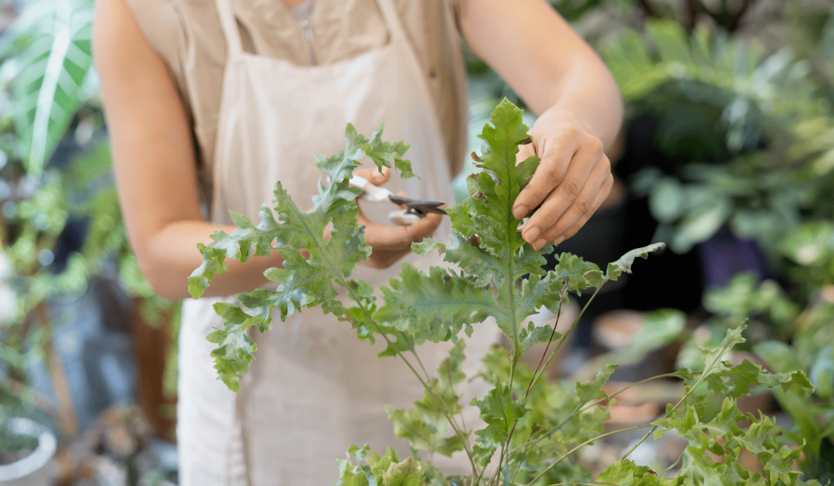 경기_신용보증재단_소상공인대출_4