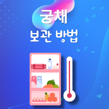 궁채 보관법