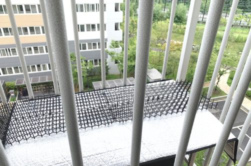 버드스파이크 설치