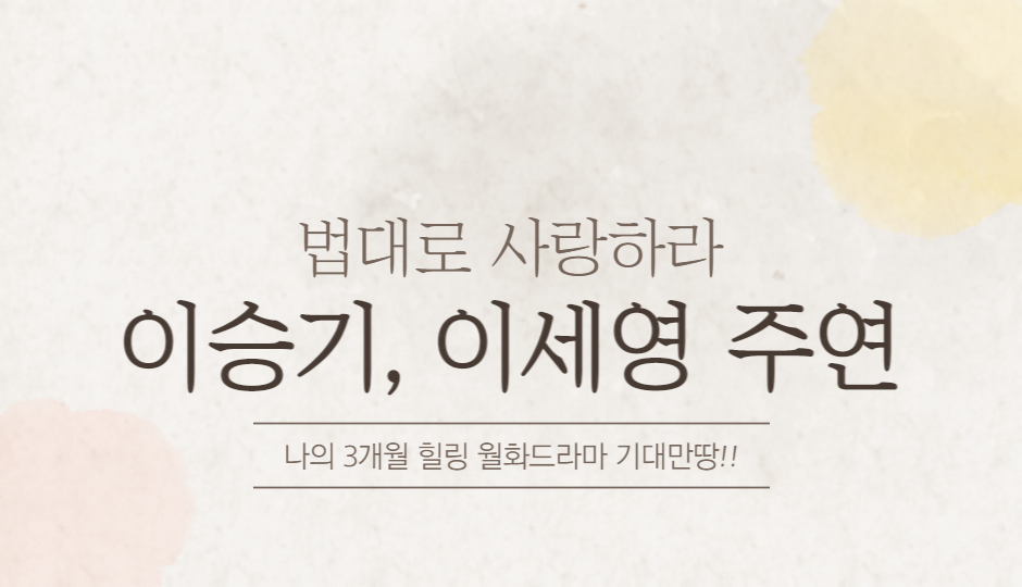 법대로사랑하라 드라마