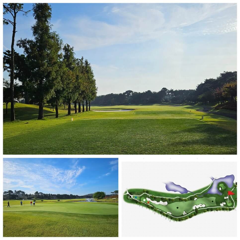 골프장 경험담 당진 파인스톤cc 대형 멋진 정원에서 환상의 골프 운동