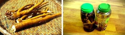 칡술-담그기-담그는법-손질하기-세척하기-완성하기