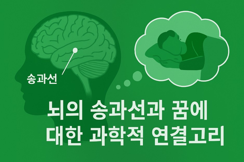 초록색 배경 위에 뇌의 측면 단면이 그려져 있으며, 송과선 위치에 표시가 되어 있다. 오른쪽에는 꿈을 꾸는 사람의 모습이 말풍선처럼 표현되어 뇌와 꿈의 연결을 시각적으로 전달한다.