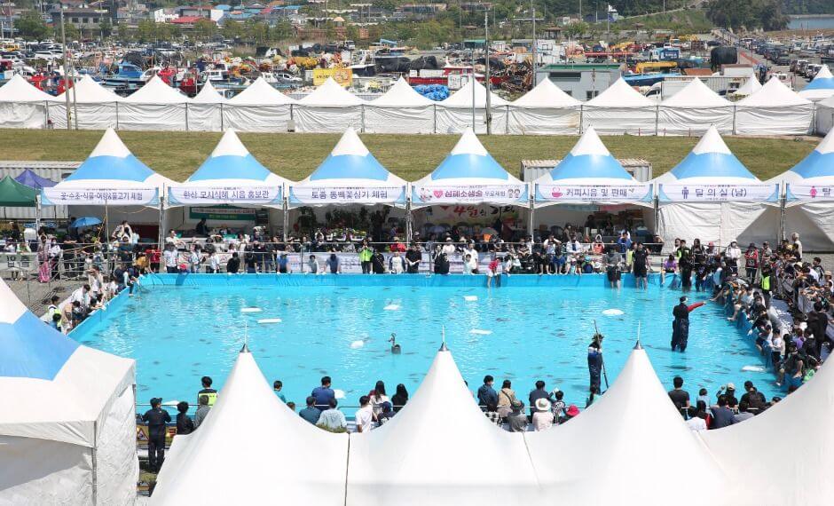 서천 자연산 광어 도미 축제