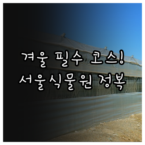 겨울 강서구 실내 나들이 추천 서울식..