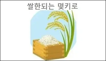 쌀한되는 몇키로