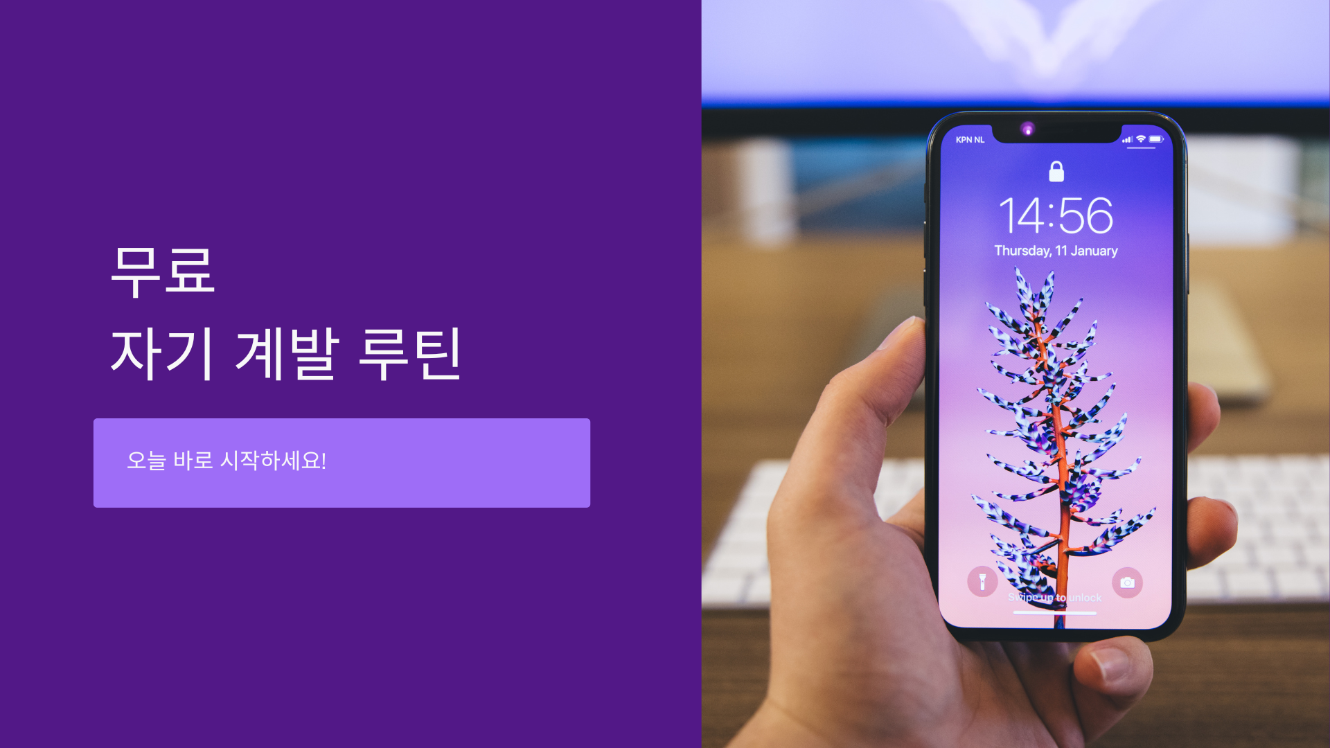 오늘 시작하는 무료 자기 계발 루틴