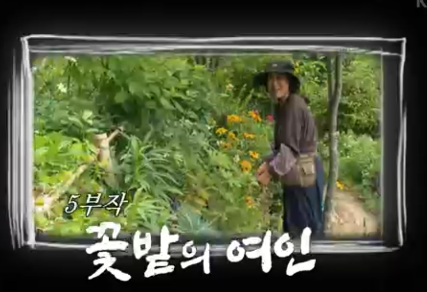 인간극장 꽃밭의 여인 보러 가기 방송시간 레전드 정리 1