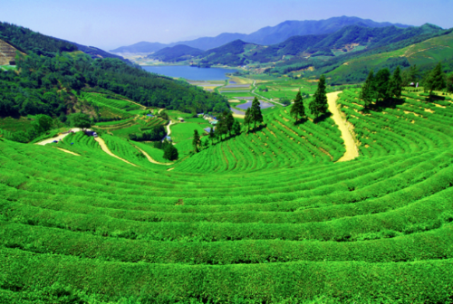 국내 여름휴가지 추천