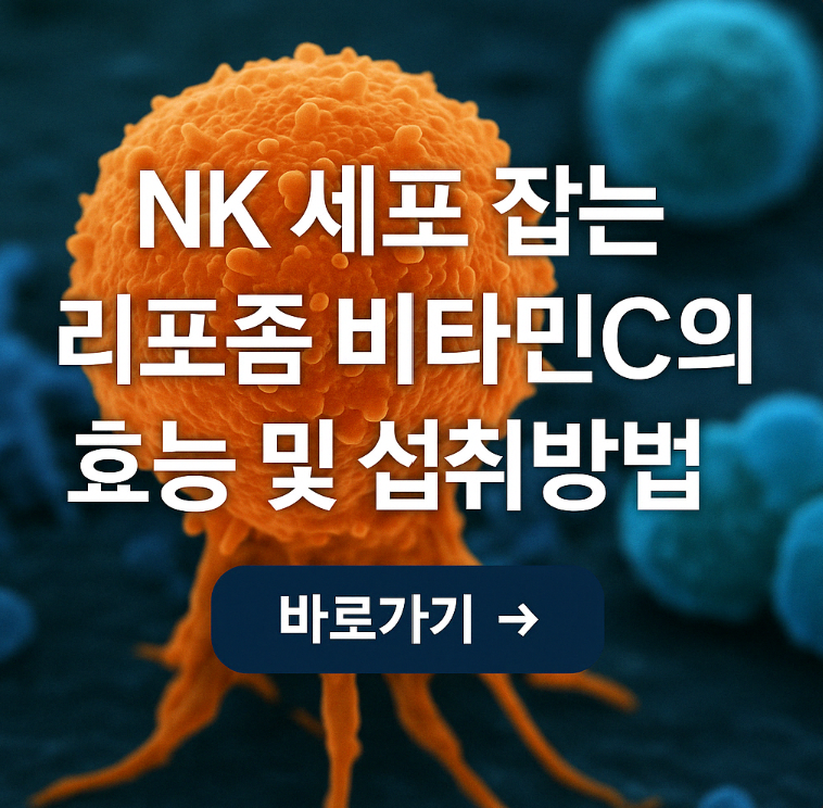 NK세포 활성화 리포좀 비타민C 효능 및 섭취방법 총정리