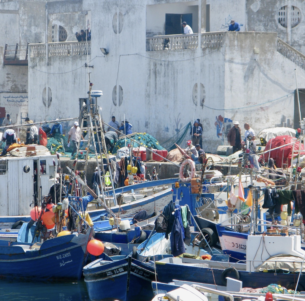지브리 애니메이션 속 숨겨진 상징과 은유: 표면적인 이야기 너머에 숨겨진 깊은 의미를 파헤치는 분석