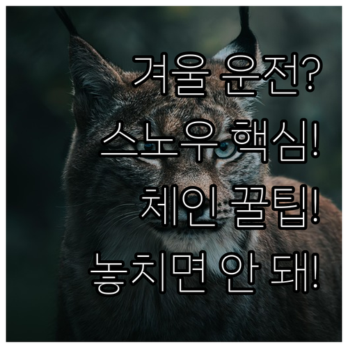 겨울철 안전 운전 스노우체인 선택과 ..