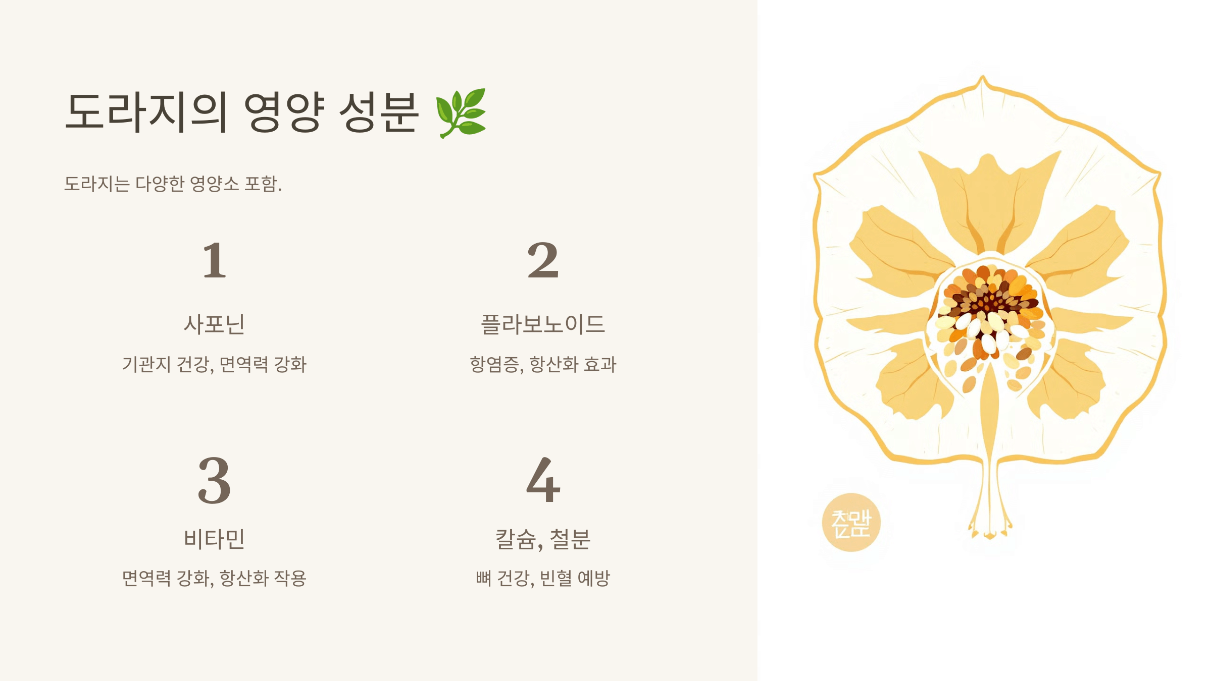 도라지 사진입니다.