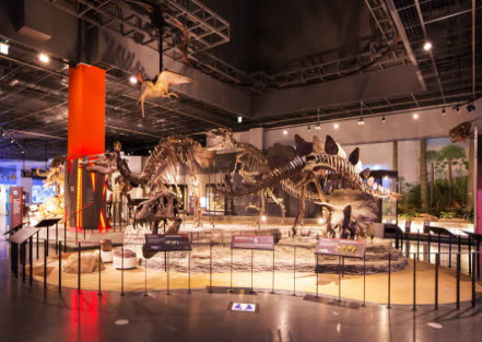 과천 아이들과 가볼만한곳