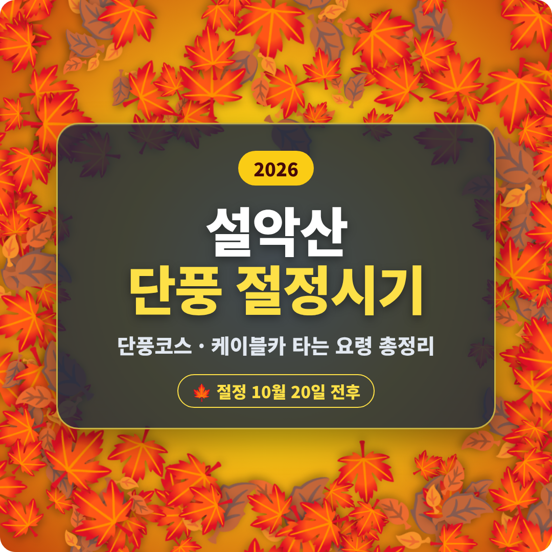 2026 설악산 단풍 절정시기 이미지