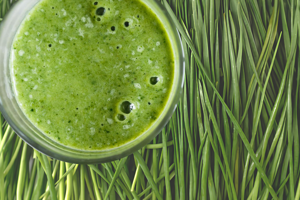 부츠_사진과_갈아만든_부츠주스_사진